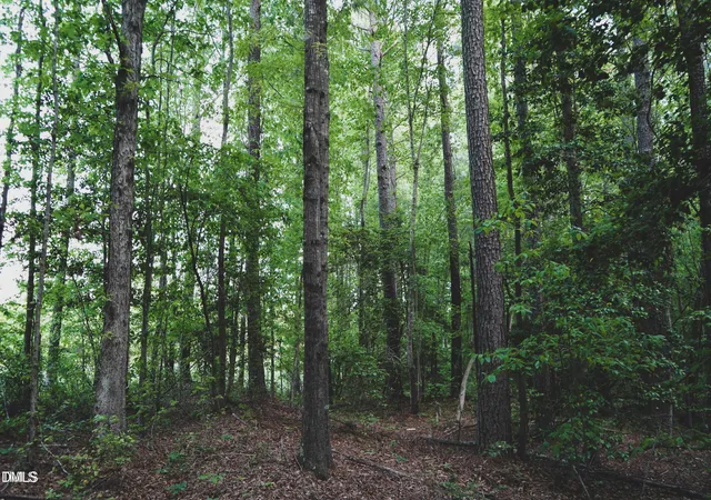 3rd image of Lot 4 Arthur Wilder Rd, Spring Hope, NC 27882 | MLS# 10132456