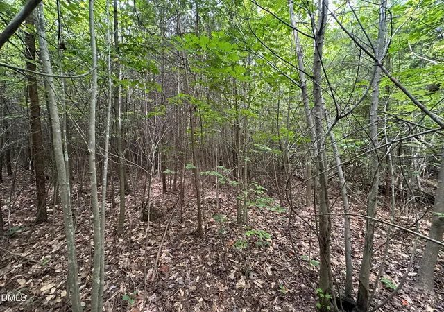 18th image of 0 Phelps Cir, Rural Hall, NC 27045 | MLS# 10133104