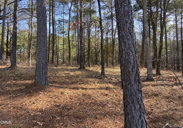 Photo 4 of Land for sale at 9113 Moon Lake Ln, New Hill, NC 27562 | MLS# 10138164 | Listing updated on 2026-07-18