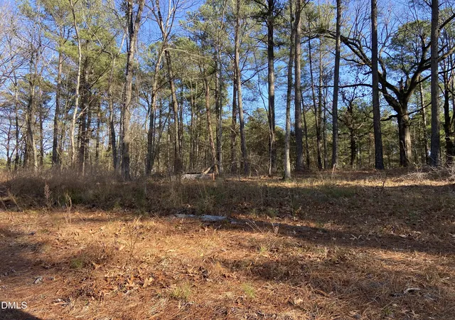 Photo 5 of Land for sale at 9113 Moon Lake Ln, New Hill, NC 27562 | MLS# 10138164 | Listing updated on 2026-07-18