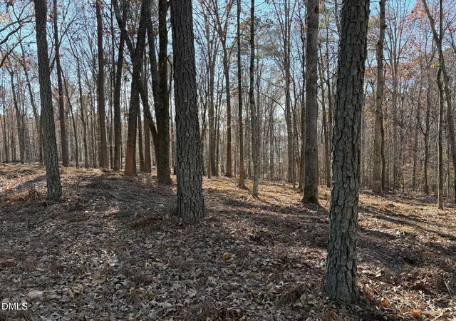 Photo 4 of Land for sale at 6729 Bartley Point Dr, New Hill, NC 27562 | MLS# 10138168 | Listing updated on 2026-07-18