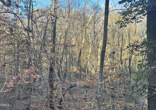 2nd image of 1715 Fire Depart Rd, Clayton, NC 27527 | MLS# 10133763
