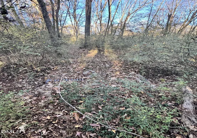 3rd image of 1715 Fire Depart Rd, Clayton, NC 27527 | MLS# 10133763