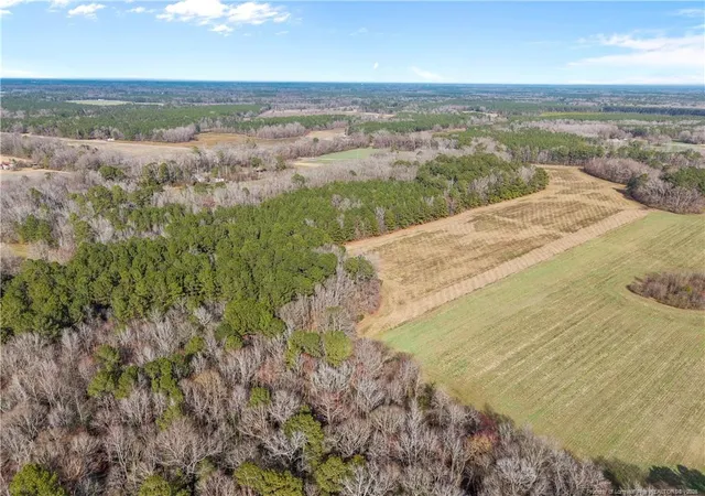 Photo 3 of Land for sale at 1896 & 0 Clark Rd, Lillington, NC 27546 | MLS# 753432 | Listing updated on 2026-07-18