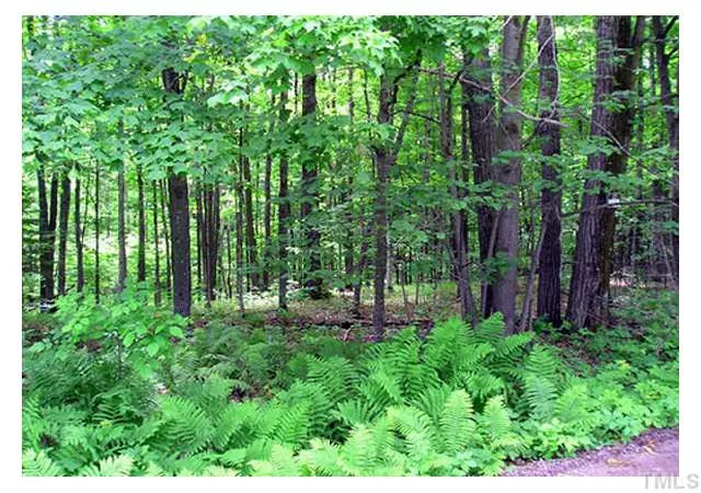 14th image of 2809 Us 64, Apex, NC 27523 | MLS# 10133793