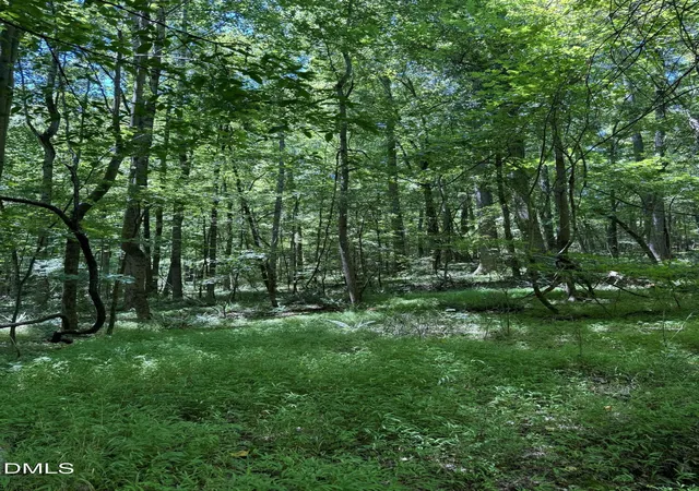 Photo 3 of Unimproved Land at 1820 Efland Cedar Grv Rd, Efland, NC 27243 | MLS# 10134506 | | Sold on 2026-07-02
