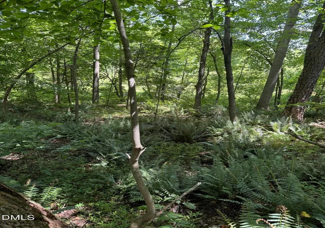 Photo 4 of Unimproved Land at 1820 Efland Cedar Grv Rd, Efland, NC 27243 | MLS# 10134506 | | Sold on 2026-07-02
