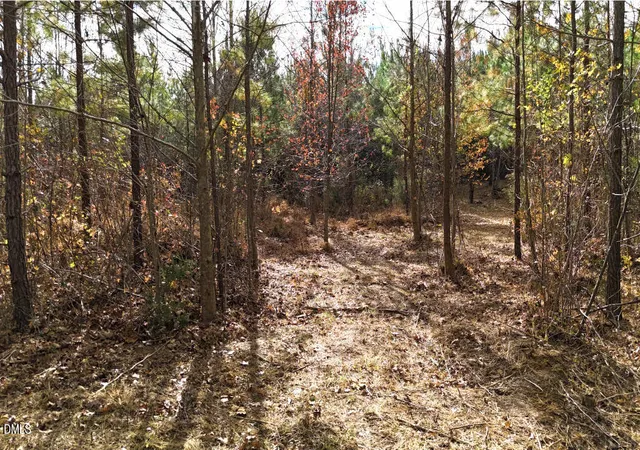 5th image of Lot 4 Bessie Daniel Rd, Roxboro, NC 27574 | MLS# 10134635