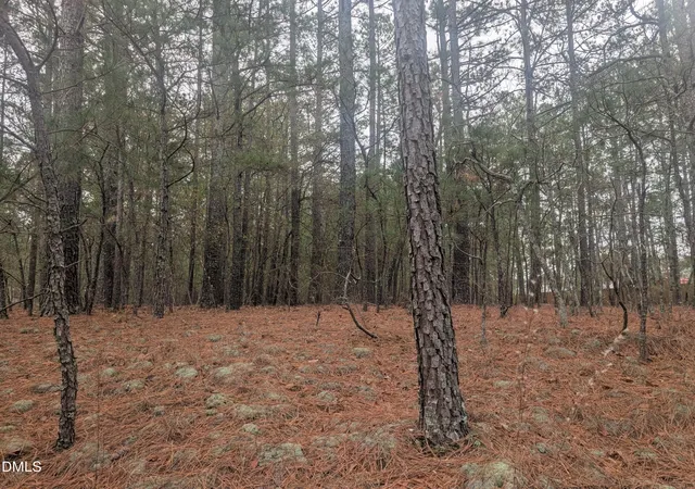 Homes for sale in Eagle Springs, NC | 13 Saw Grass Rd, Eagle Springs, NC 27242 | MLS# 10134891