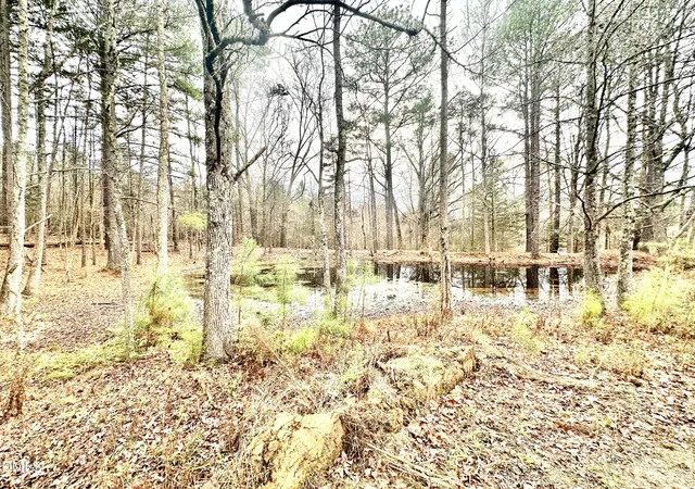 Homes for sale in Snow Camp, NC | 8245 Old Switchboard Rd, Snow Camp, NC 27349 | MLS# 10136015