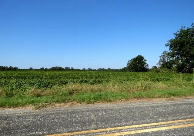 Photo 2 of Sale Pending at Tbd Cowpen Swamp Rd, Fairmont, NC 28340 | MLS# 753983 | Listing updated on 2026-07-18