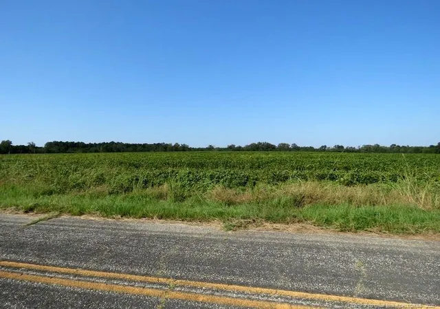 Photo 3 of Sale Pending at Tbd Cowpen Swamp Rd, Fairmont, NC 28340 | MLS# 753983 | Listing updated on 2026-07-18