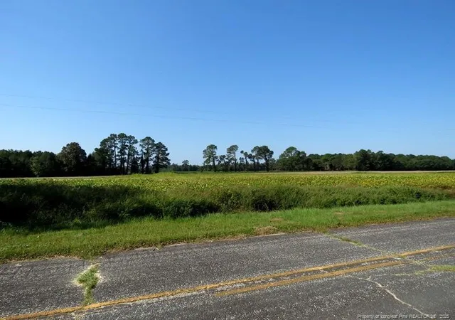 Photo 2 of Sale Pending at Tbd Cowpen Swamp Rd, Fairmont, NC 28340 | MLS# 753988 | Listing updated on 2026-08-20