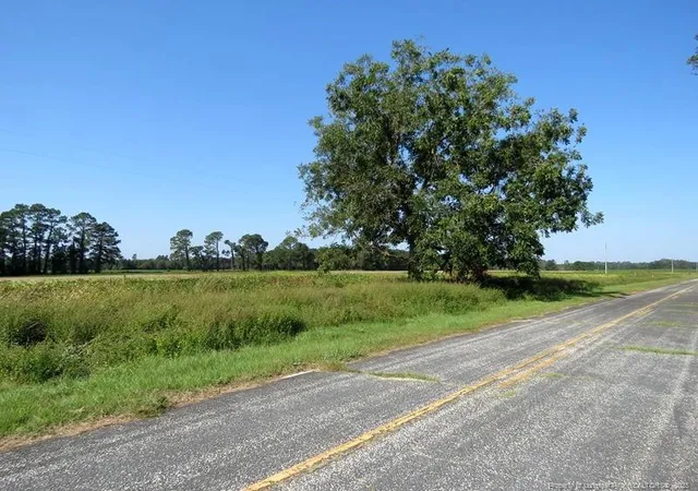 Photo 3 of Sale Pending at Tbd Cowpen Swamp Rd, Fairmont, NC 28340 | MLS# 753988 | Listing updated on 2026-08-20