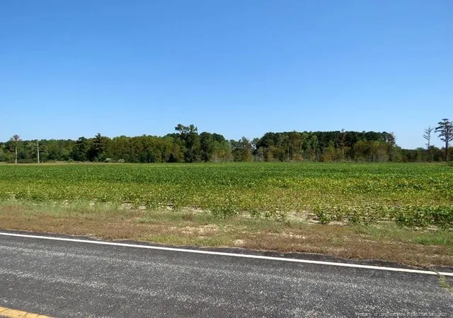 Photo 3 of Land for sale at Tbd Cowpen Swamp Rd, Fairmont, NC 28340 | MLS# 753990 | Listing updated on 2026-07-18