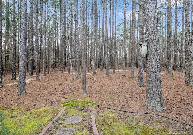 17th image of 61 Fountain Park Cir, Spring Lake, NC 28390 | MLS# 753999