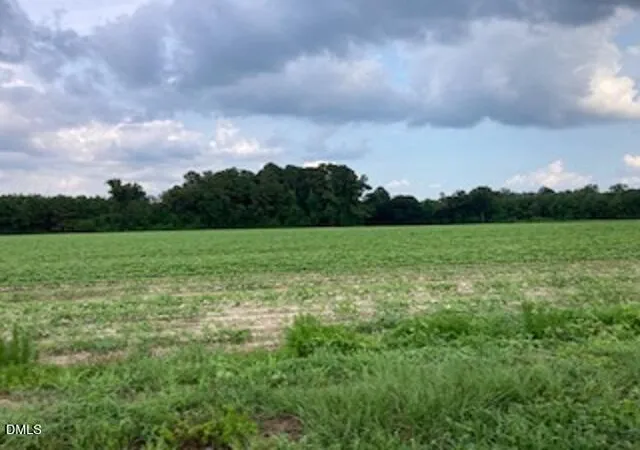 2nd image of 0 Waycross Rd, Turkey, NC 28393 | MLS# 10135566