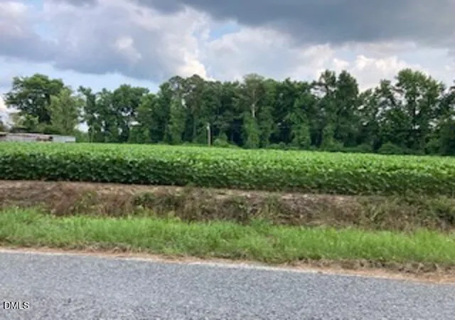 Photo 3 of Land for sale at 0 Waycross Rd, Turkey, NC 28393 | MLS# 10135566 | Listing updated on 2026-08-21