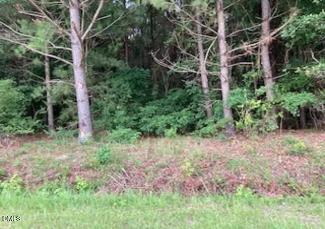 4th image of 0 Waycross Rd, Turkey, NC 28393 | MLS# 10135566