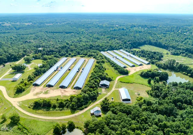 Photo 4 of Sale Pending at 687 Brock Rd, Bunnlevel, NC 28323 | MLS# 10135585 | Listing updated on 2026-09-18