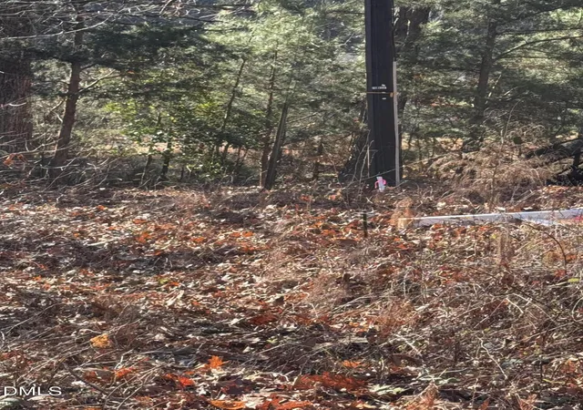 Photo 3 of Land for sale at 00 Matthews Dr, Henderson, NC 27537 | MLS# 10136388 | Listing updated on 2026-08-31