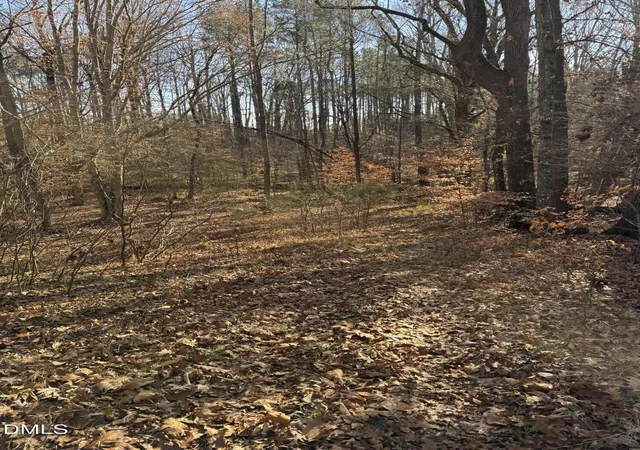 Photo 5 of Land for sale at 00 Matthews Dr, Henderson, NC 27537 | MLS# 10136388 | Listing updated on 2026-08-31