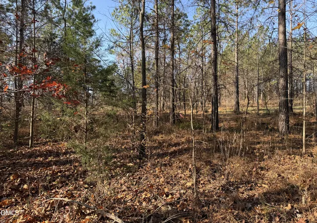 29th image of Lot 1 Wolf Tree Wy, Efland, NC 27243 | MLS# 10136056