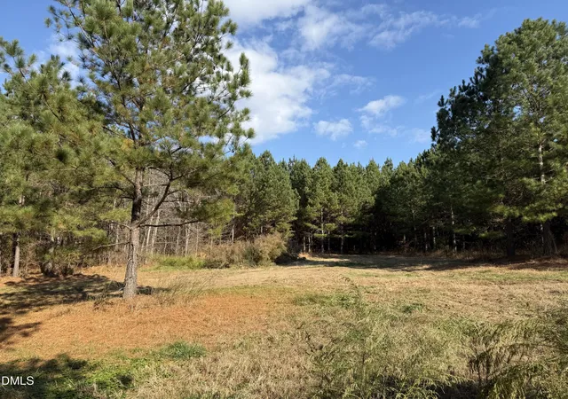 29th image of Lot 3 Wolf Tree Wy, Efland, NC 27243 | MLS# 10136095