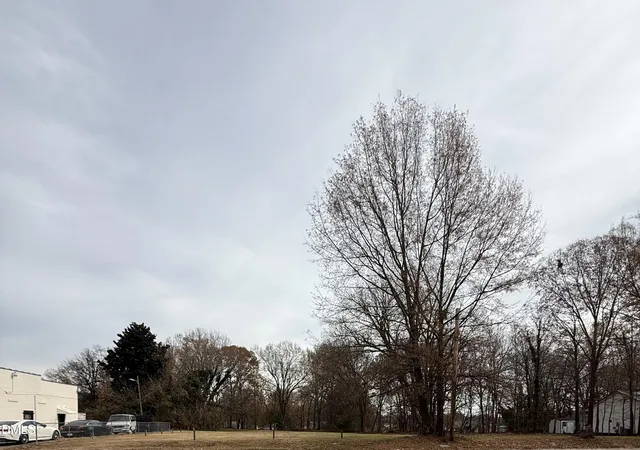 5th image of 427 Rauhut St, Burlington, NC 27217 | MLS# 10135897