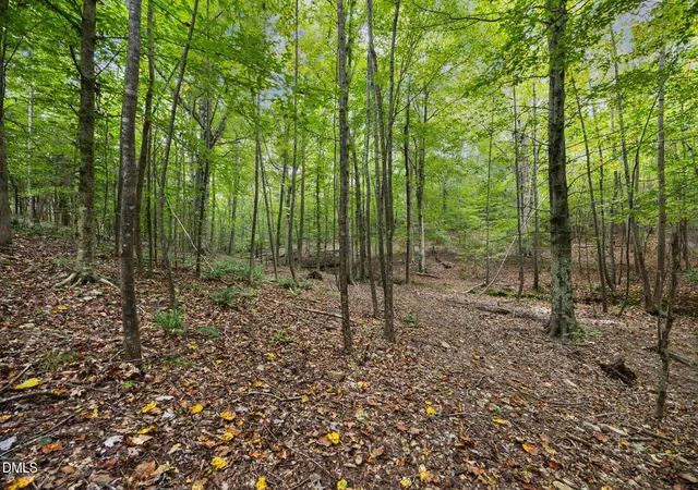 25th image of Lot 4 Wolf Tree Wy, Efland, NC 27243 | MLS# 10136264