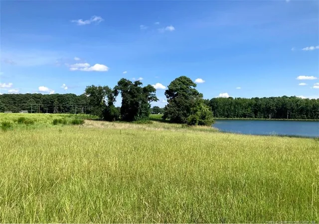1st image of 0 Castleberry Rd, Sanford, NC 27332 | MLS# 754287