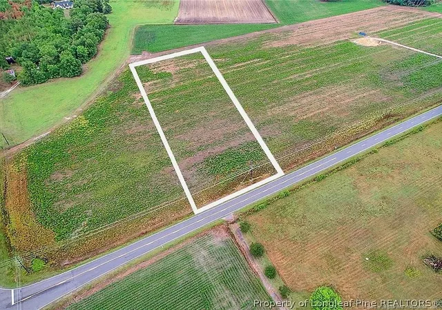 Photo 1 of Land for sale at Lot 4 Buie Philadelphus Rd, Red Springs, NC 28377 | MLS# 753256 | Listing updated on 2026-08-18