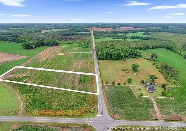 Photo 3 of Land for sale at Lot 4 Buie Philadelphus Rd, Red Springs, NC 28377 | MLS# 753256 | Listing updated on 2026-08-18