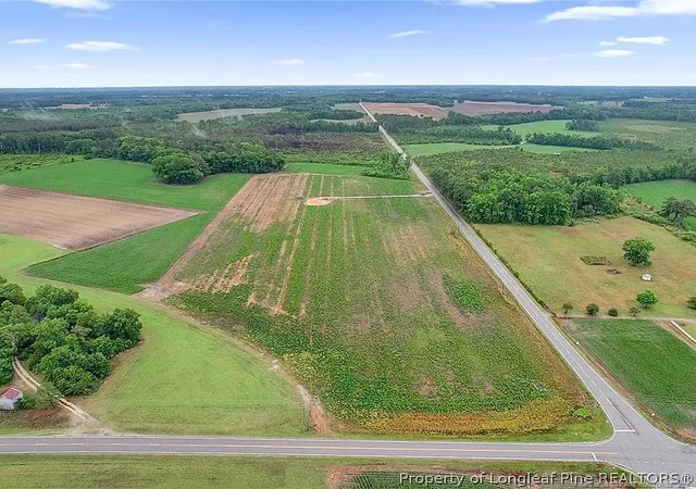 Photo 4 of Land for sale at Lot 4 Buie Philadelphus Rd, Red Springs, NC 28377 | MLS# 753256 | Listing updated on 2026-08-18
