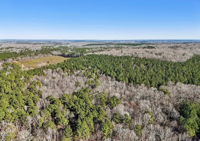 Photo 5 of Unimproved Land at 0 Dewitt Smith Rd, Pittsboro, NC 27312 | MLS# 10141773 | | Sold on 2026-07-14