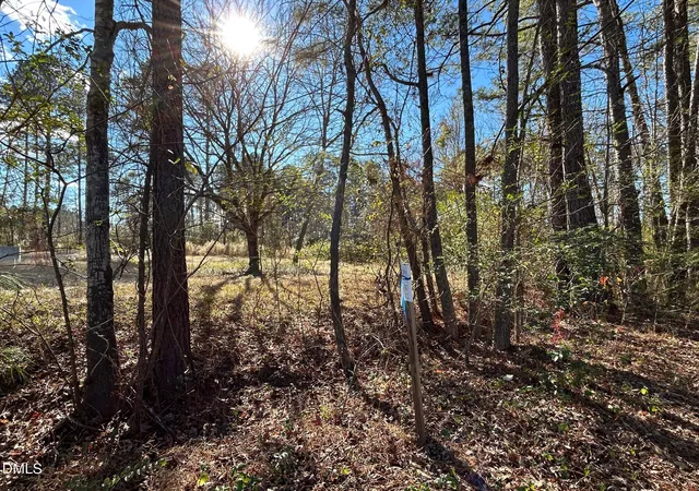 Photo 4 of Land for sale at 523 New Elam Church Rd, Moncure, NC 27559 | MLS# 10137317 | Listing updated on 2026-08-27