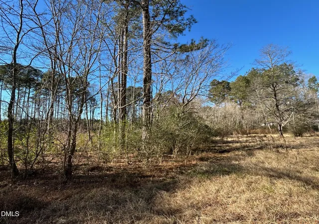 Photo 5 of Land for sale at 523 New Elam Church Rd, Moncure, NC 27559 | MLS# 10137317 | Listing updated on 2026-08-27
