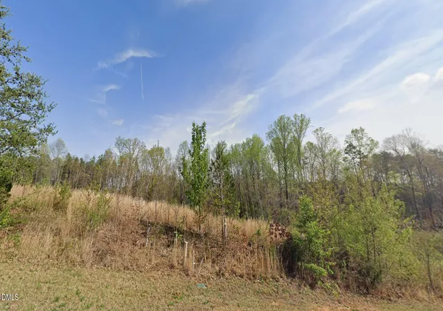 3rd image of 7459 Birchbend Ln, Lewisville, NC 27023 | MLS# 10137068