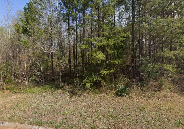 1st image of 7411 Birchbend Ln, Lewisville, NC 27023 | MLS# 10137076
