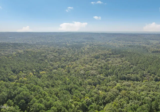 Photo 3 of Land for sale at 0 River Forks Rd, Moncure, NC 27559 | MLS# 10142252 | Listing updated on 2026-07-18