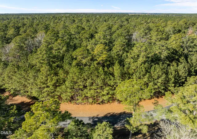 Homes for sale in Belhaven, NC | 0 Bailey Pointe Rd, Belhaven, NC 27810 | MLS# 10137617