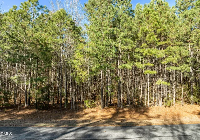 Homes for sale in Belhaven, NC | 0 Bailey Pointe Rd, Belhaven, NC 27810 | MLS# 10137617