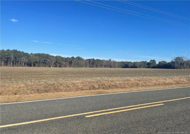 Photo 2 of Land for sale at Tobacco Rd, Orrum, NC 28369 | MLS# 754305 | Listing updated on 2026-07-18