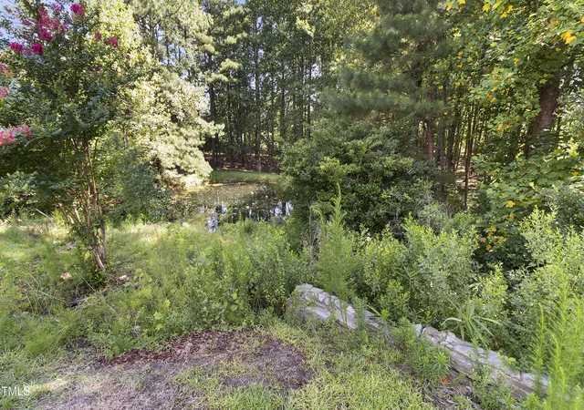 Photo 48 of Single family home for sale at 1046 Ponderosa Trl, Cameron, NC 28326 | MLS# 10139548 | Listing updated on 2026-08-20