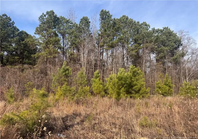 2nd image of 0 Tramway Rd, Sanford, NC 27330 | MLS# 754709