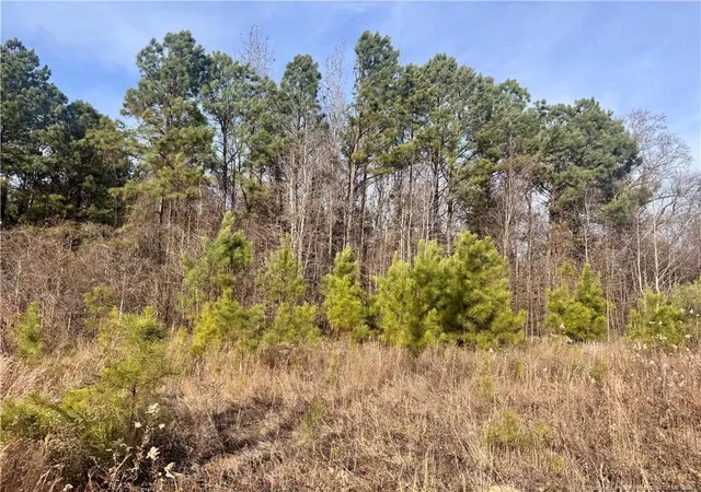 3rd image of 0 Tramway Rd, Sanford, NC 27330 | MLS# 754709