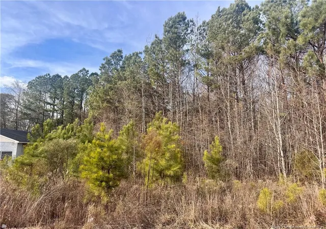 5th image of 0 Tramway Rd, Sanford, NC 27330 | MLS# 754709