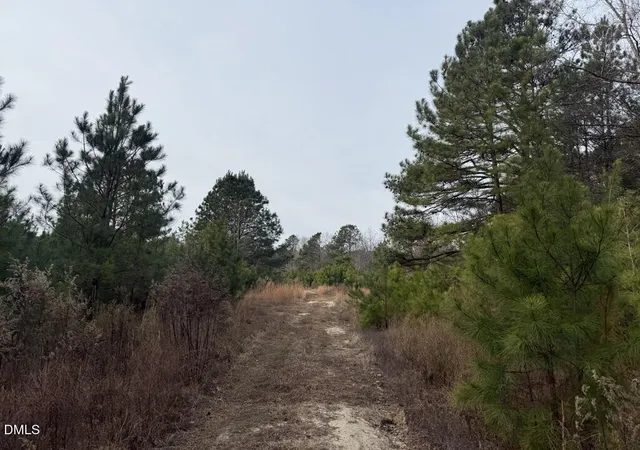 Land for sale at 0 Murphy Rd, Youngsville, NC 27596 | MLS# 10148324