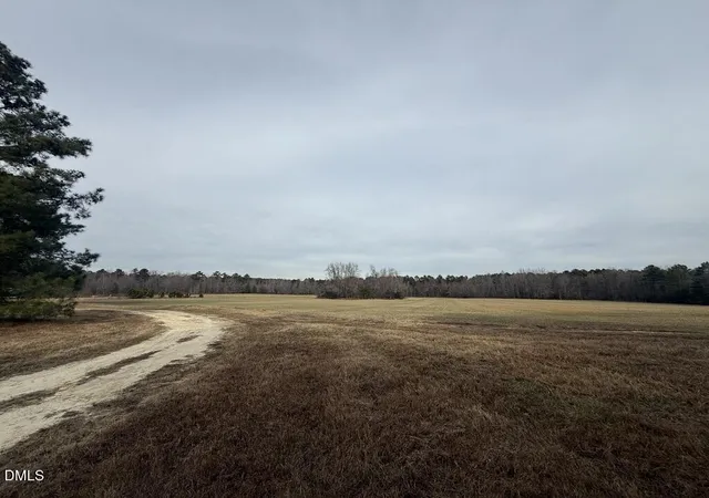 Photo 4 of Land for sale at 0 Murphy Rd, Youngsville, NC 27596 | MLS# 10148324 | Listing updated on 2026-07-23