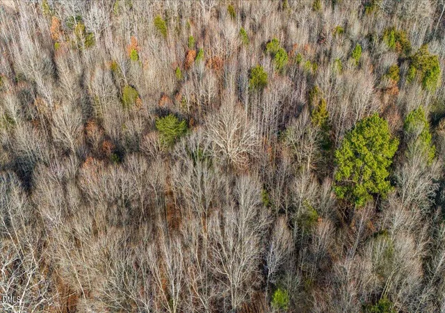 Photo 10 of Land for sale at 0 Lee Emerson, Bear Creek, NC 27207 | MLS# 10140238 | Listing updated on 2026-09-04